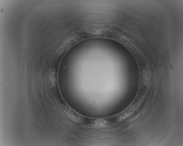 X0000068810612200605121252