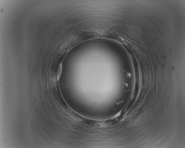 X0000068810613200605121252