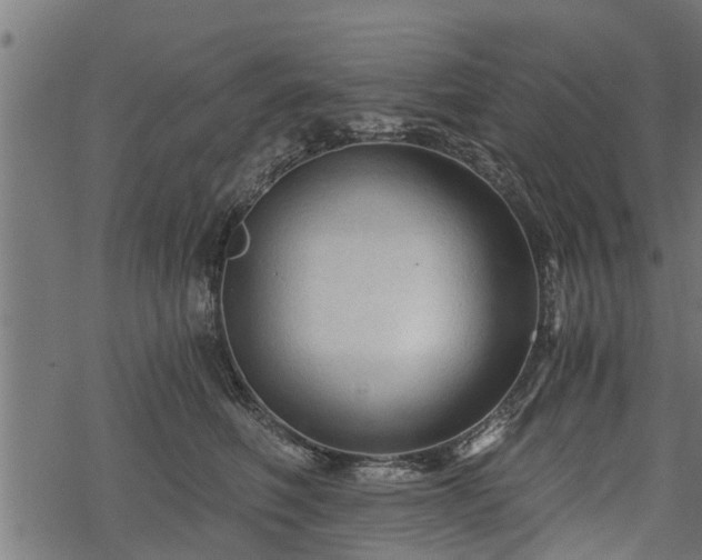 X0000068810614200605121252