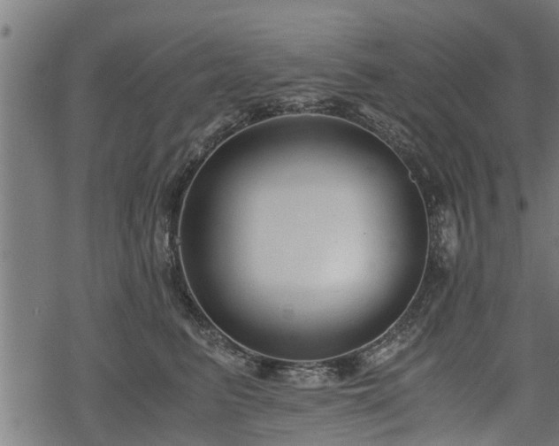 X0000068810615200605121252