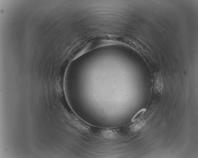 X0000068810616200605121252