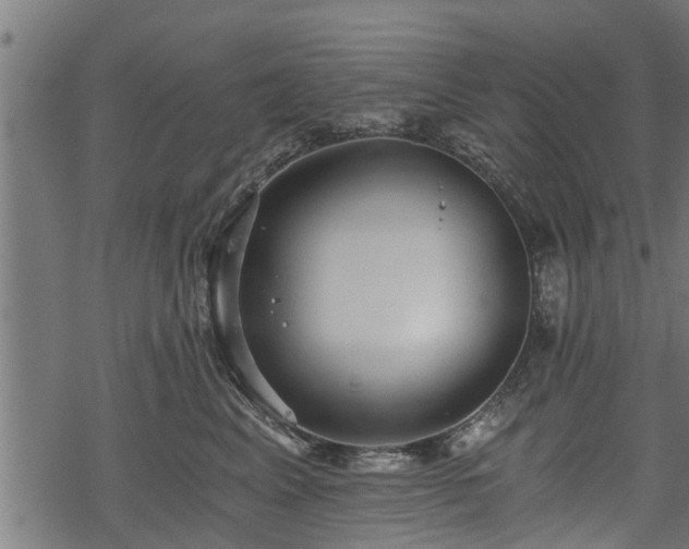 X0000068810617200605121252