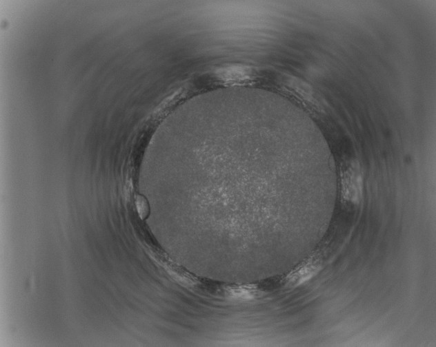 X0000068810618200605121252