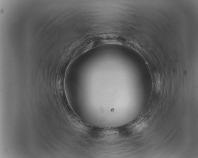 X0000068810619200605121252