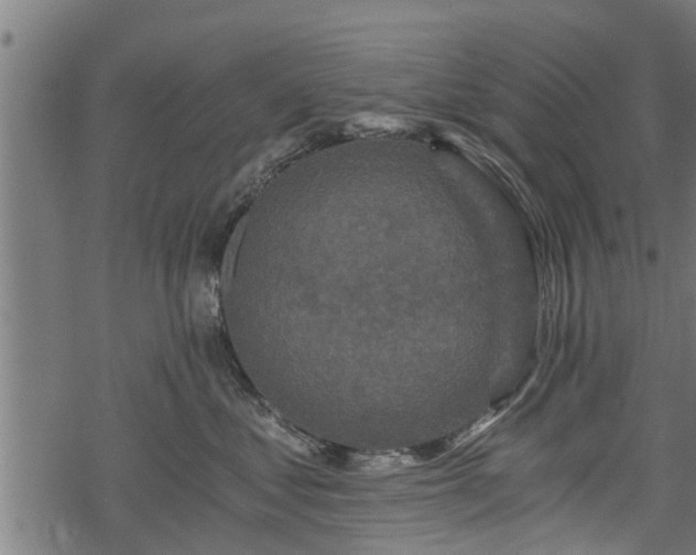 X0000068810621200605121252