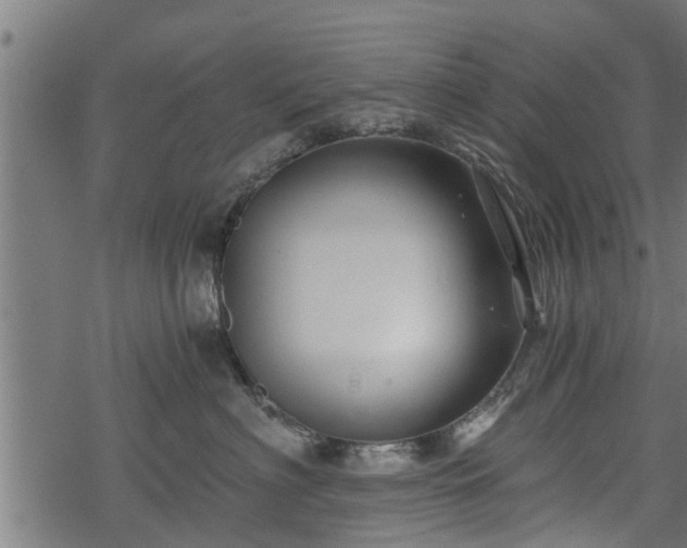 X0000068810622200605121252