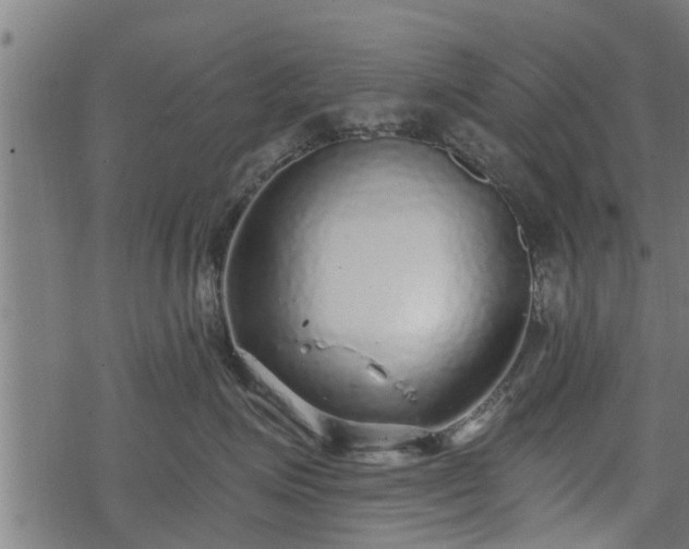 X0000068810623200605121252