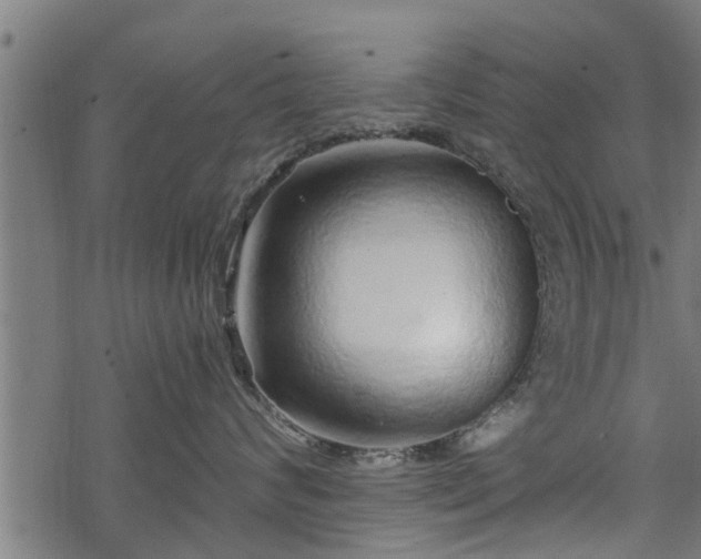 X0000068810624200605121252