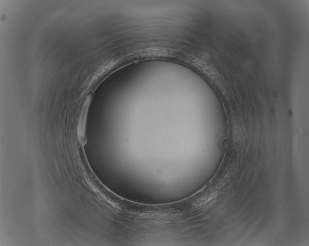 X0000068810625200605121251