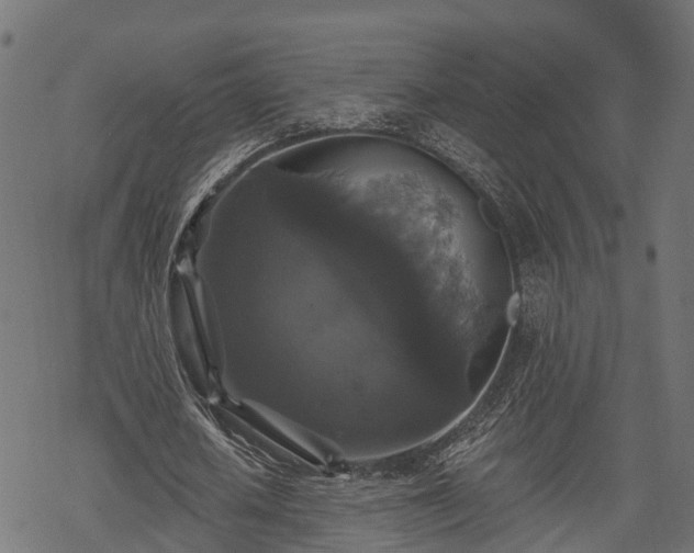 X0000068810626200605121251