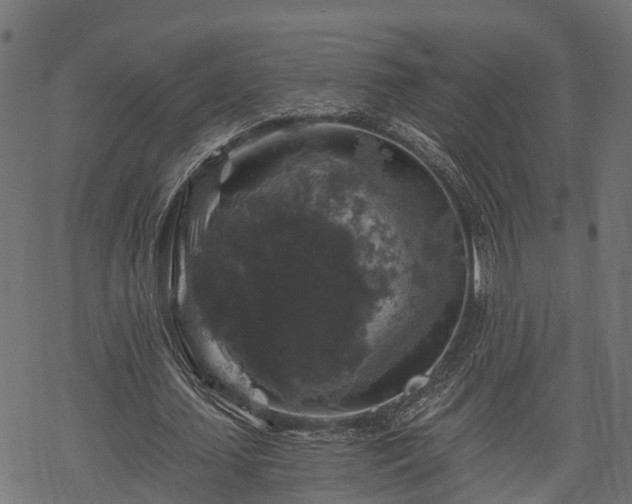 X0000068810627200605121251