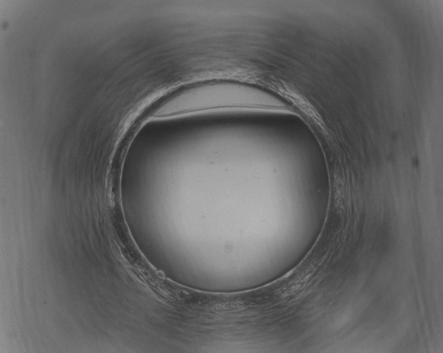 X0000068810628200605121251