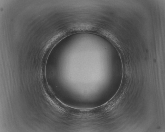 X0000068810629200605121251