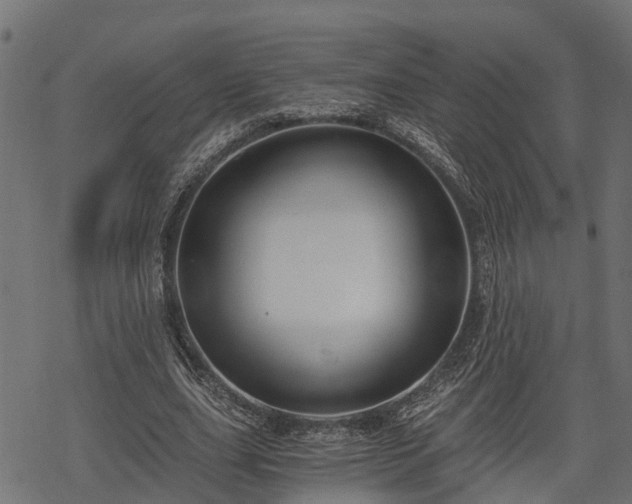 X0000068810631200605121251