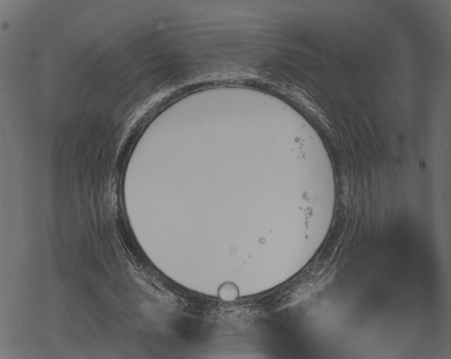 X0000068810632200605121251