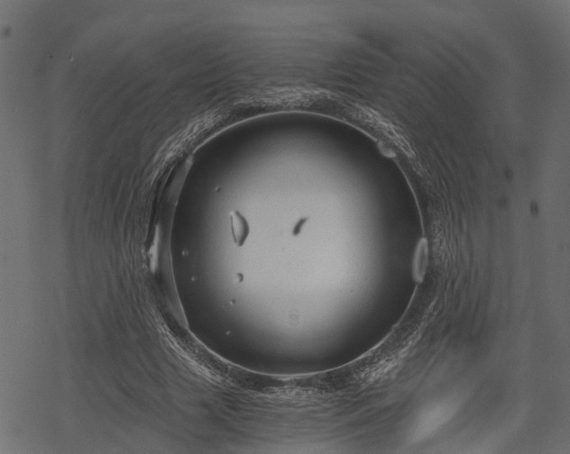 X0000068810633200605121251