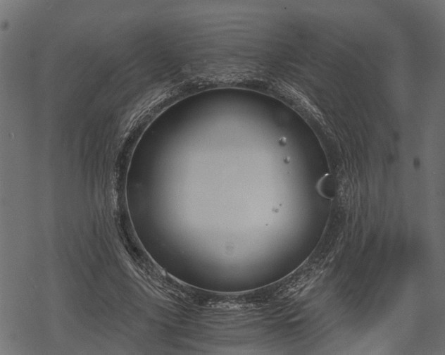 X0000068810635200605121251