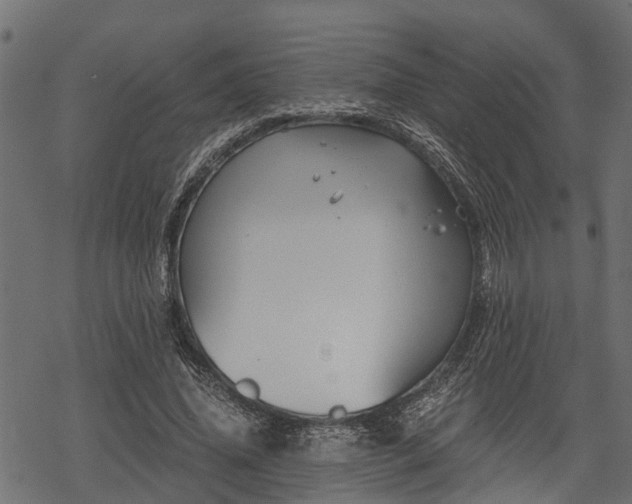 X0000068810636200605121251