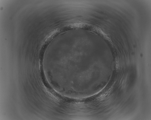 X0000068810637200605121251