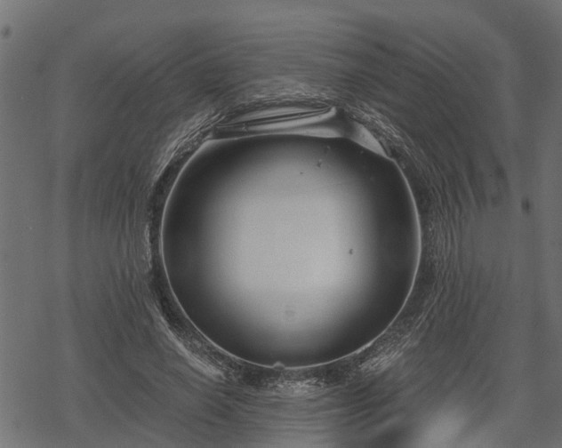 X0000068810638200605121251