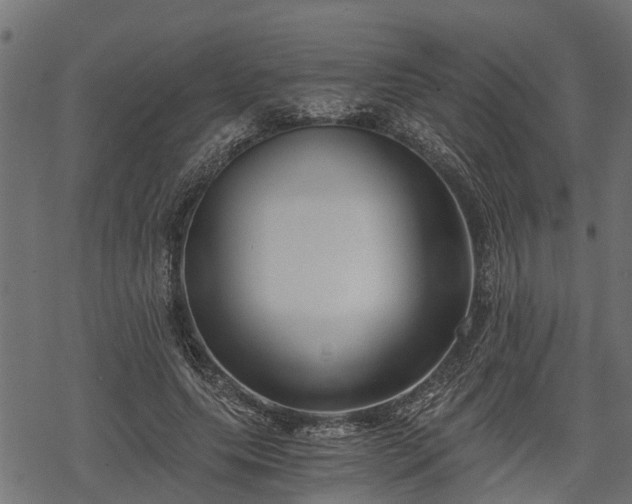 X0000068810639200605121251