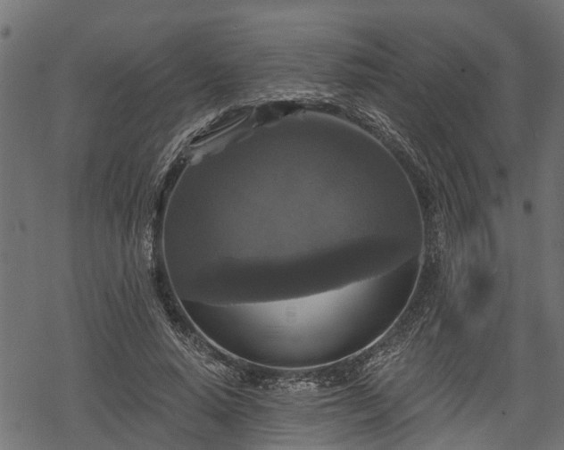 X0000068810640200605121251