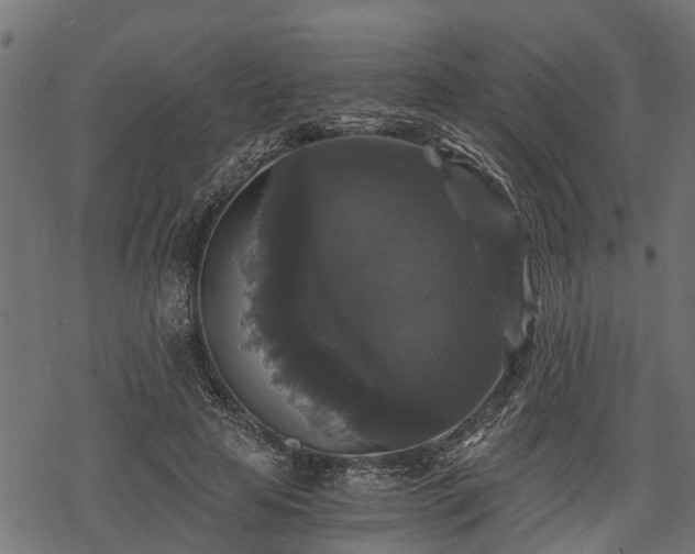 X0000068810641200605121251