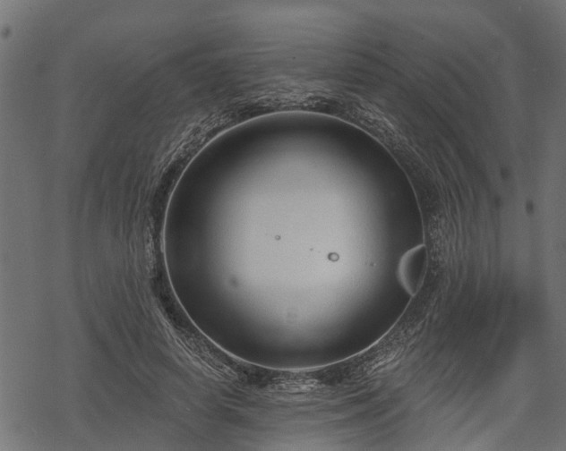 X0000068810642200605121251