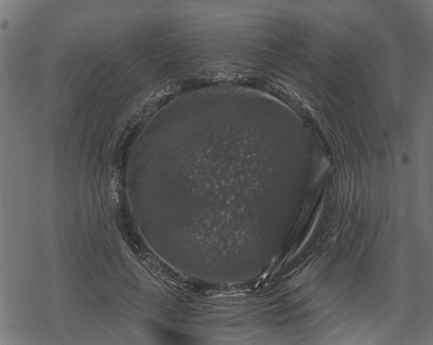 X0000068810643200605121251