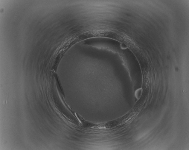 X0000068810644200605121251