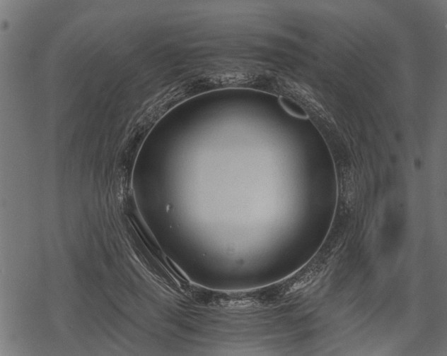 X0000068810645200605121251