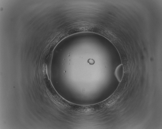 X0000068810646200605121251