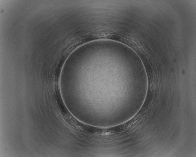 X0000068810647200605121251