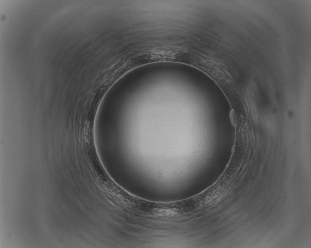 X0000068810649200605121251