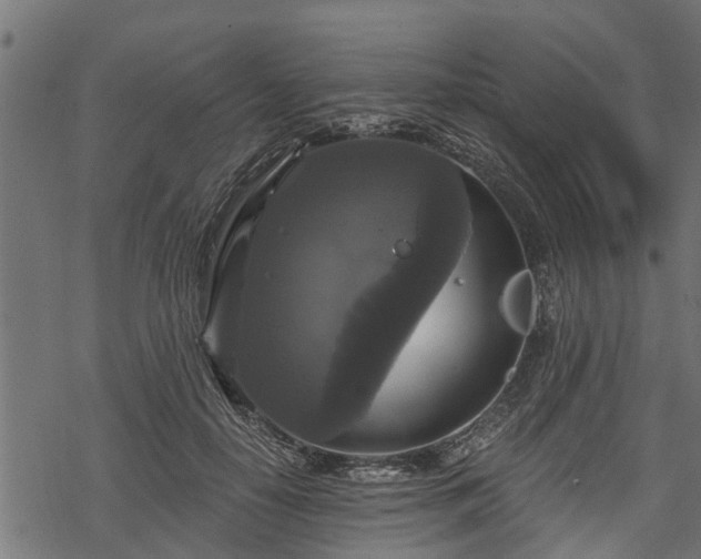 X0000068810650200605121251