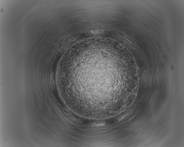 X0000068810651200605121251