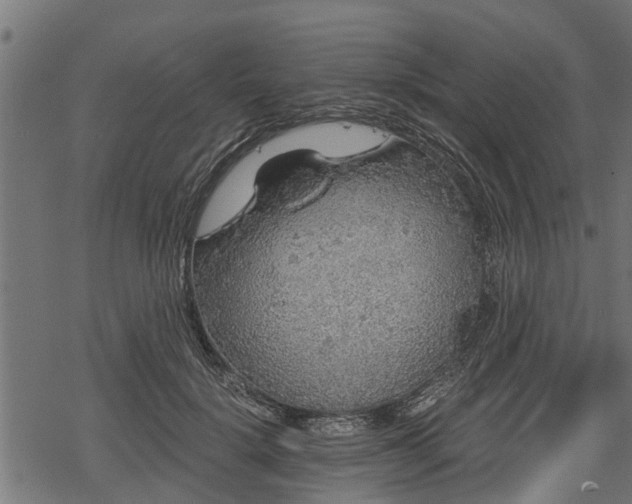 X0000068810652200605121251