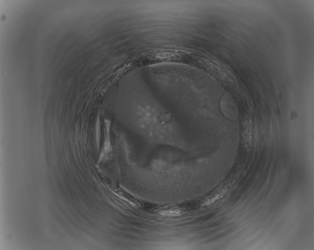 X0000068810653200605121252