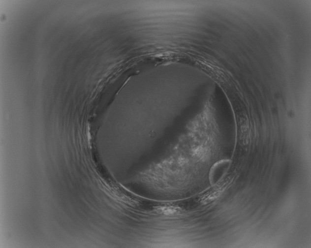 X0000068810654200605121252