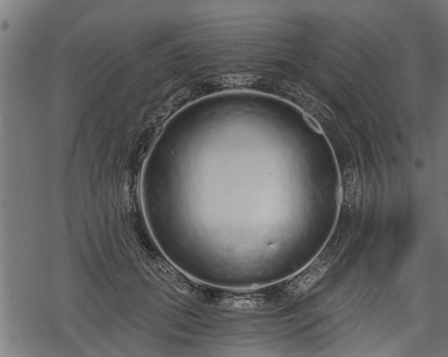 X0000068810655200605121252