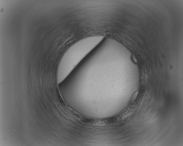 X0000068810656200605121252