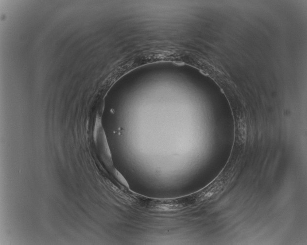 X0000068810657200605121252