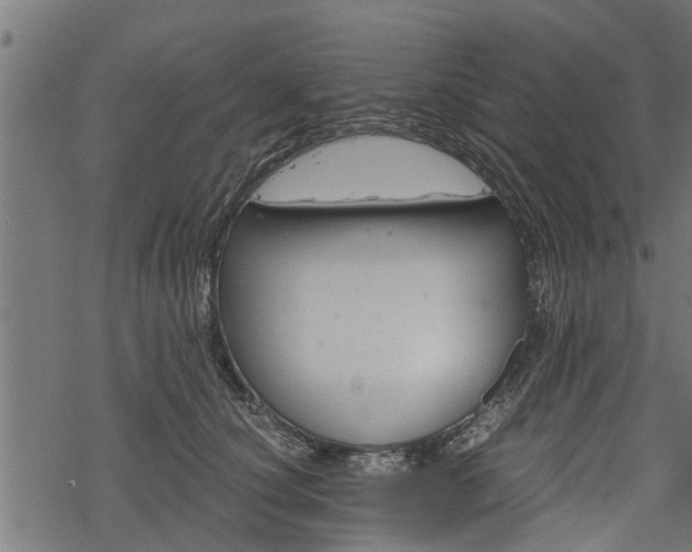 X0000068810660200605121252