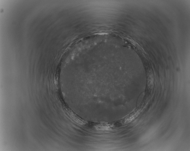 X0000068810661200605121252