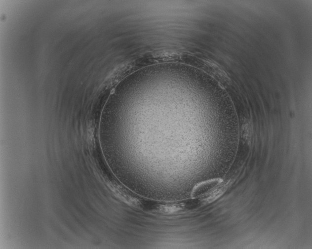 X0000068810662200605121252