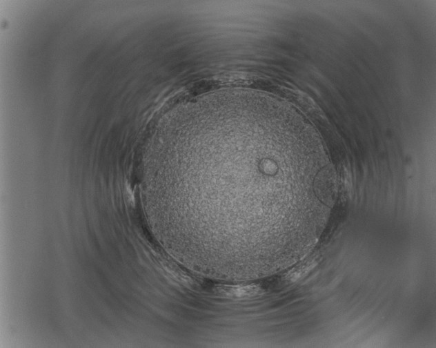 X0000068810663200605121252