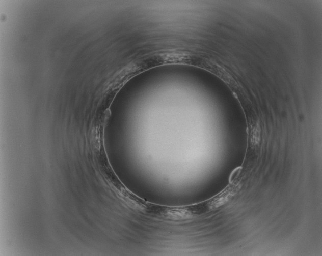 X0000068810666200605121252