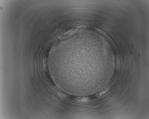 X0000068810667200605121252