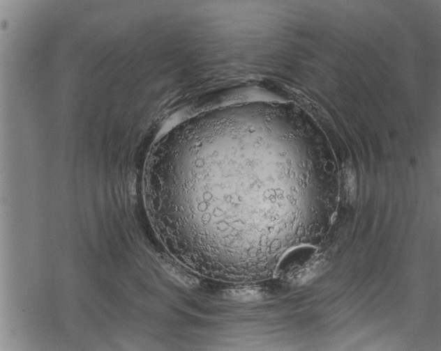 X0000068810668200605121252