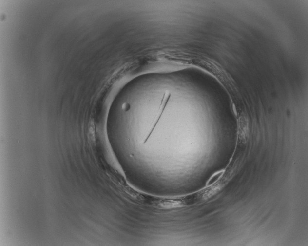 X0000068810669200605121252